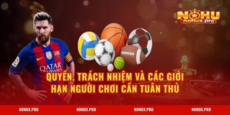 Quyền, trách nhiệm và các giới hạn người chơi cần tuân thủ