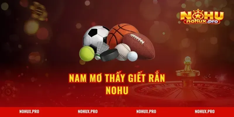 Nam Mơ Thấy Giết Rắn NOHU – Đánh Số Gì Trúng Lớn?